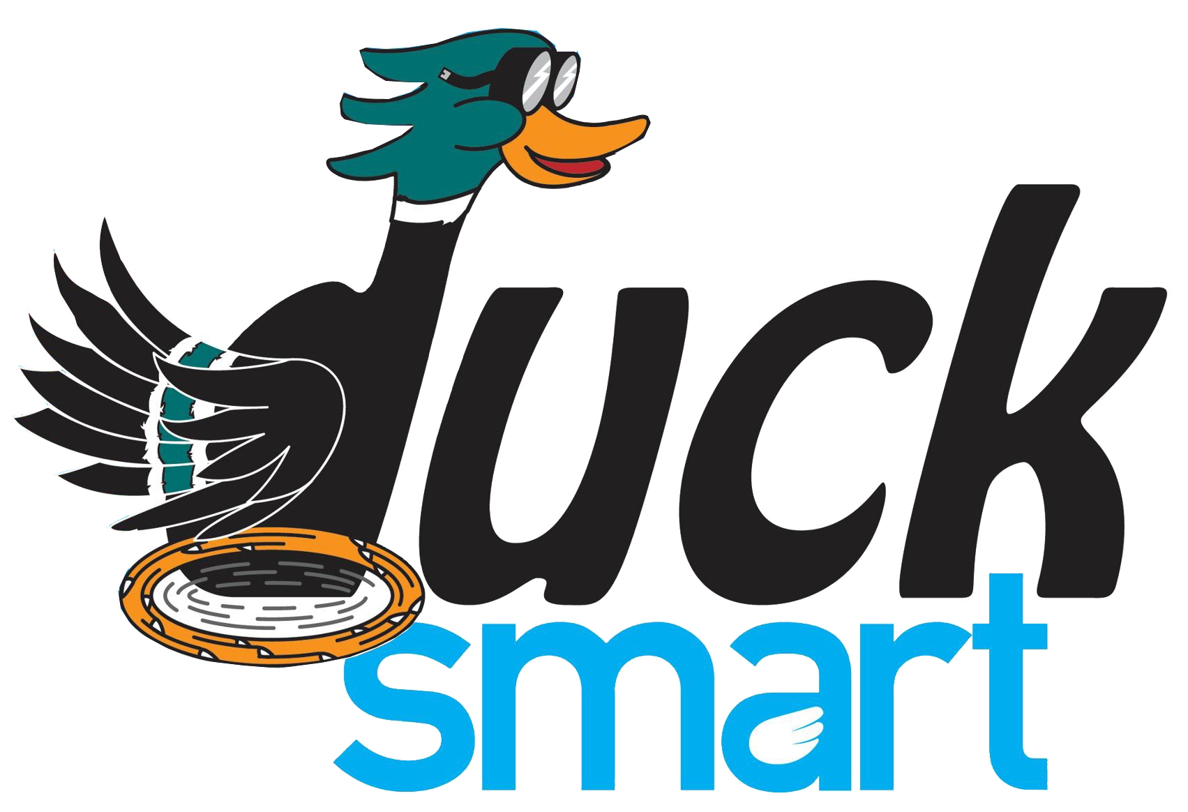 Duck Smart Cleaning Products